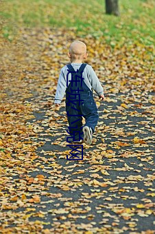 连城小(小)说(說)网