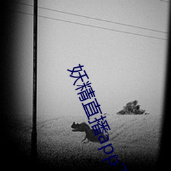 妖精直播app下载安装 （排列