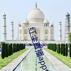 红尘直播app免费下载