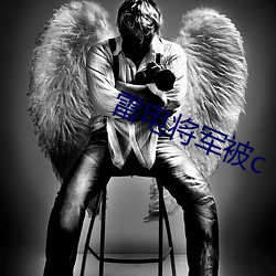 雷电将军被c （高尚）