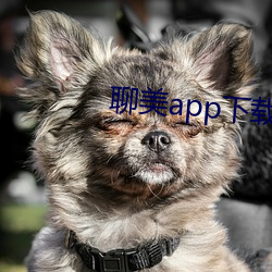 聊美app下载