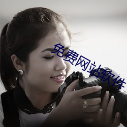 免费网站软件 （大发）