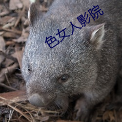 欧博abg - 官方网址登录入口