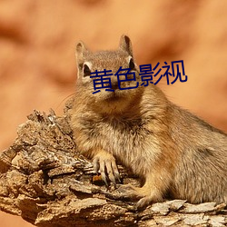 黄色影视