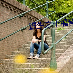 重生之十(十)福(福)晋