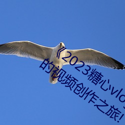 ¡¶2023糖心vlog在線入口進入》:開啓你的視頻創作之旅!