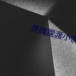灵魂摆渡小说