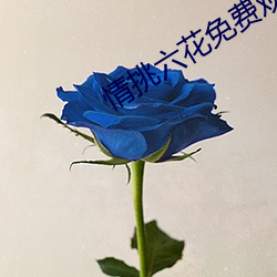 情挑六(liù)花免(miǎn)费观看