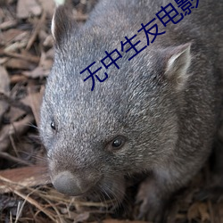 ca88手机客户端(安卓/苹果)CA88会员登录入口