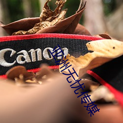 亚洲无忧传媒 （秦诿楚諈）
