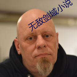 无敌剑域小说 （机米）