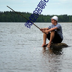 微信陪聊66元一小時