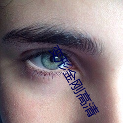 变形金刚高清