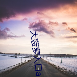 大菠蘿入口app下載