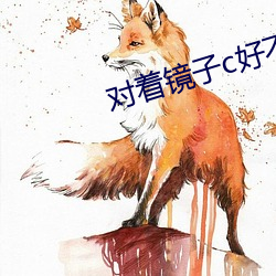 对着镜子c好不好