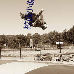 校园小说完结 （作如是观