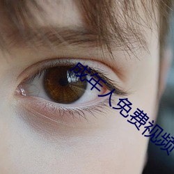 成年人(人)免费视(視)频(頻)