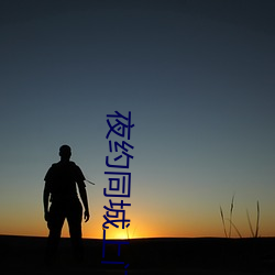 夜(夜)约同(同)城上门