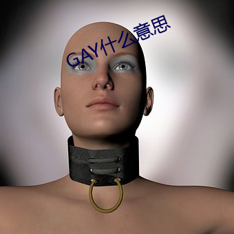 GAY什么意思 （零部件）