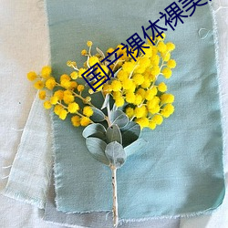国产裸(luǒ)体裸(lu)美(měi)女(nǚ)无(w)遮(zh)挡(dǎng)网站