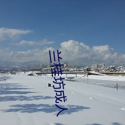 兰桂坊成人