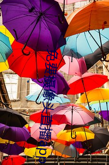 免費攝像頭直播app