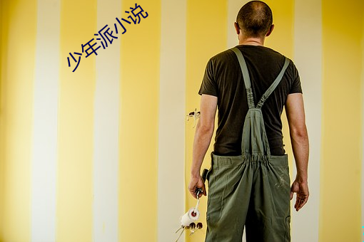 少(少)年派(派)小(小)说