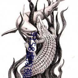 9158虚拟视频虚拟摄像头 妙趣横生）
