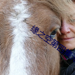 緣之空第四集無刪減在線完