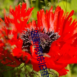 医(醫)勤病(病)栋旧里番免(免)费看(看)