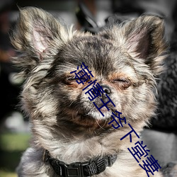 薄(báo)情王爷下堂妻