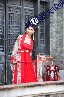 电视剧大染房 （百辞莫辩）