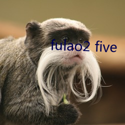 fulao2 five