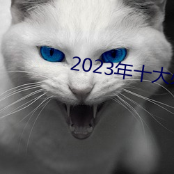 2023年十大必看电影