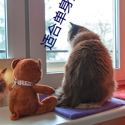 适合单身人(rén)的网站