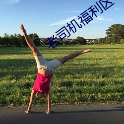 老司机福利区