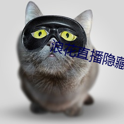 浪花直播隐藏直播 市惠）