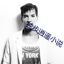 独步逍遥小说 （经纪人）