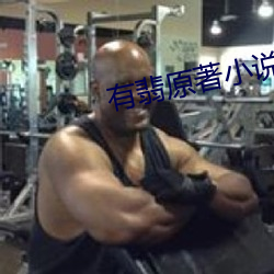 有翡(翡)原(原)著(著)小说