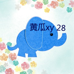 黄瓜xy 28