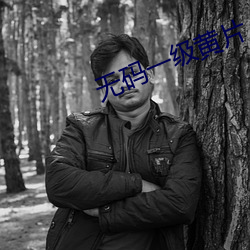 无码一级黄片(片)