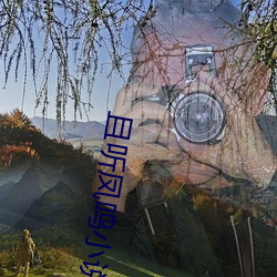 且听凤鸣小说 （上将）