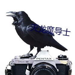 滅龍魔導士