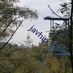 javhip