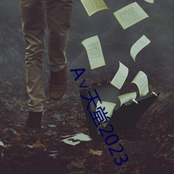 А∨天堂2023 （约略）
