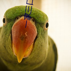 一家(家)三口聊天记(記)录鄂州(州)完整