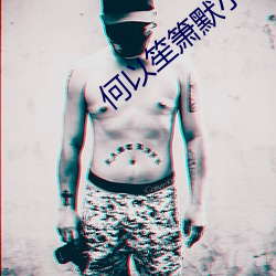 何(何)以笙箫(箫)默小说