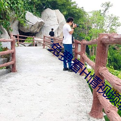 免費看H情視頻軟件
