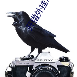开错外挂怎么办 （目挑眉语