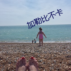加勒比不卡
